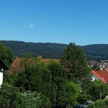 Trommblick - Pur - Im Odenwald Appartement Rimbach (Hessen)