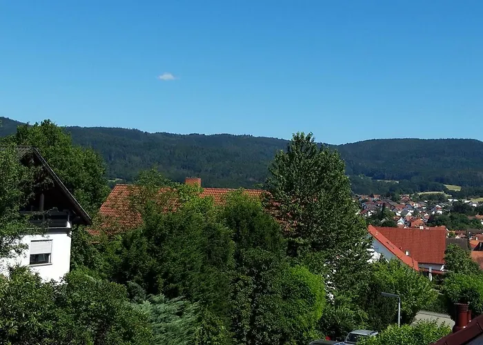 Trommblick - Pur - Im Odenwald Apartman Rimbach